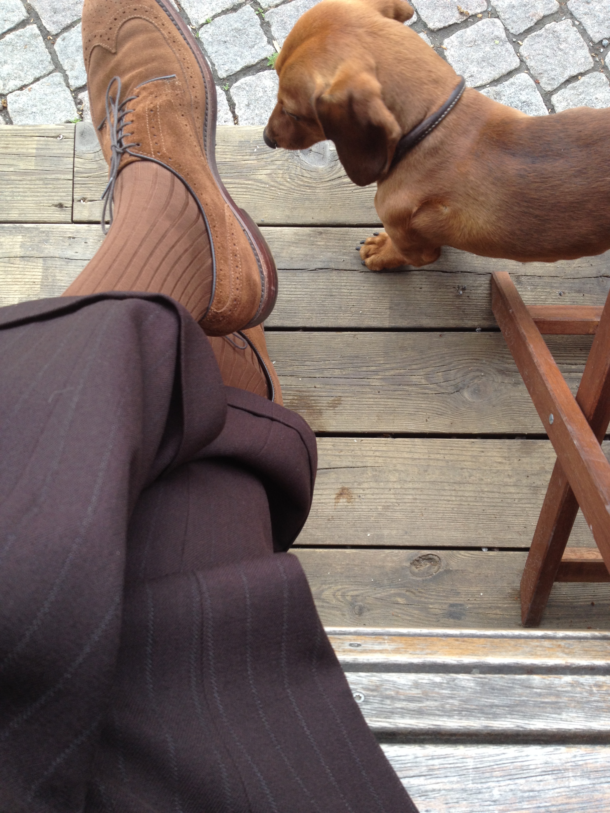 Allen Edmonds Skoaccessoir 2013-05-27