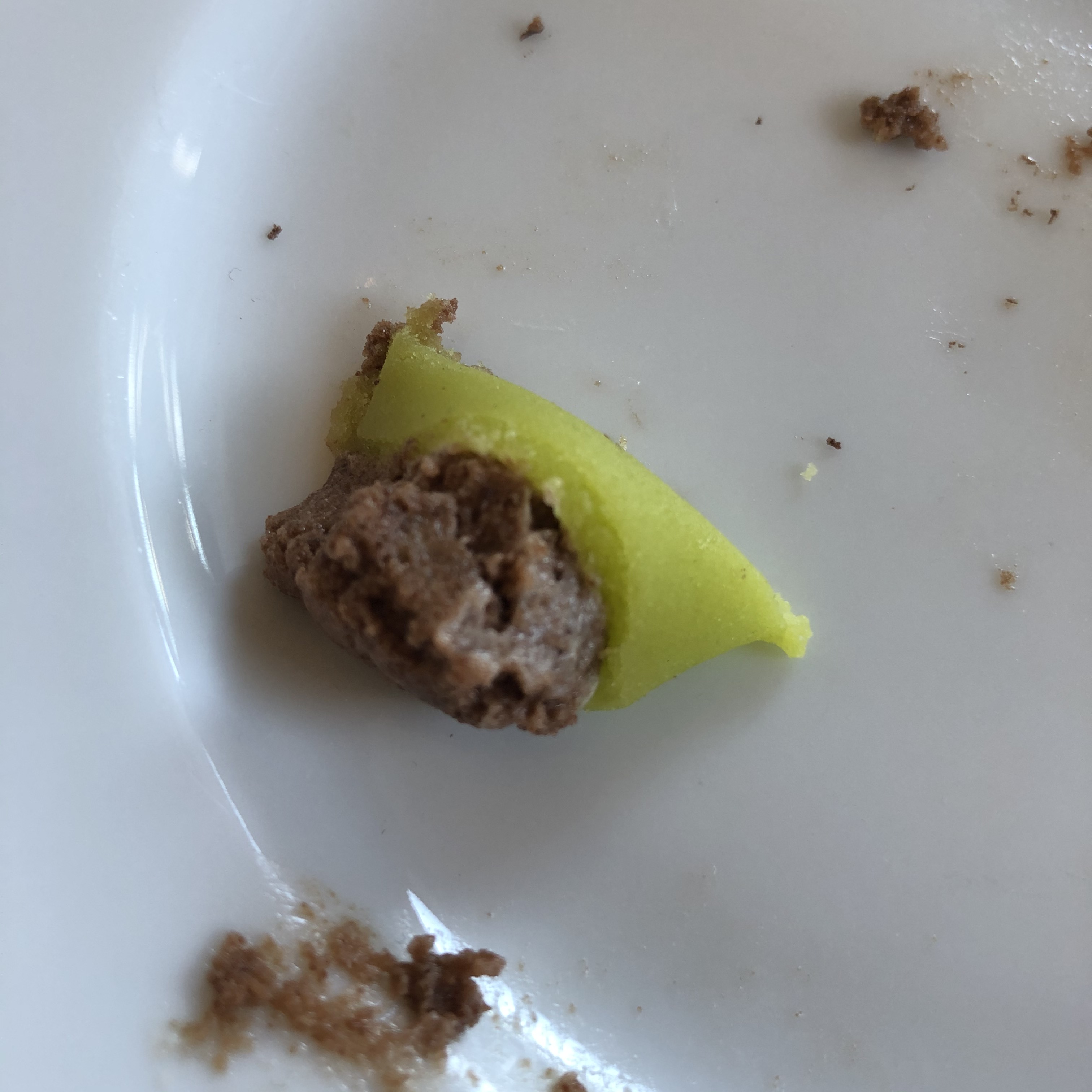 Tjörnbagarn 2020 (3)