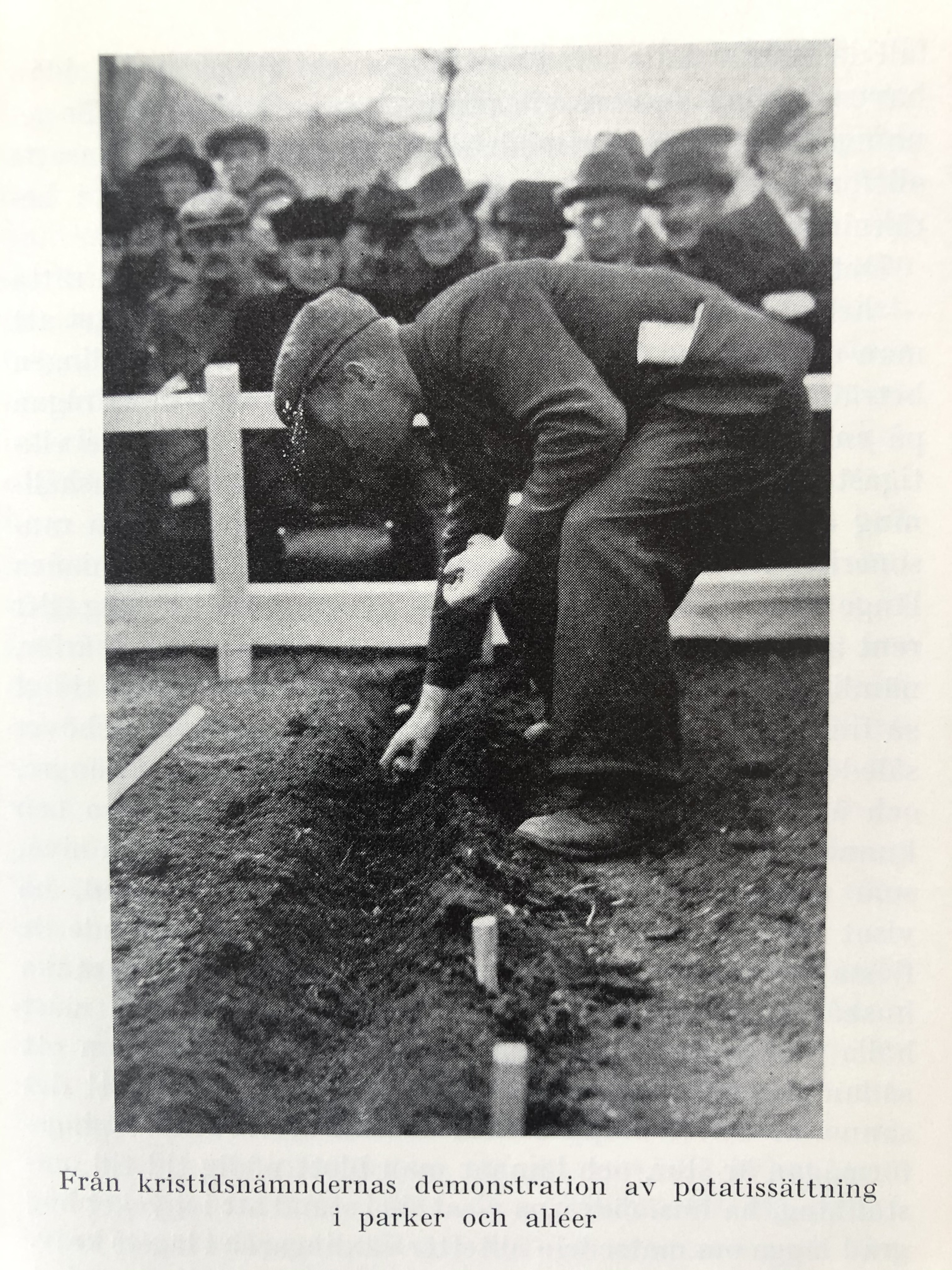 Ransoneringslitteratur (14)